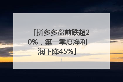 拼多多盘前跌超20%，第一季度净利润下降45%