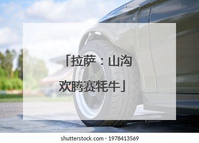 拉萨：山沟欢腾赛牦牛