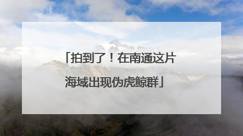 拍到了！在南通这片海域出现伪虎鲸群