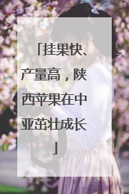 挂果快、产量高，陕西苹果在中亚茁壮成长