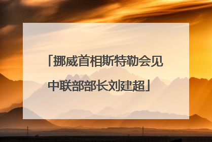 挪威首相斯特勒会见中联部部长刘建超