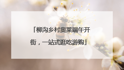 柳沟乡村奥莱端午开街，一站式逛吃游购