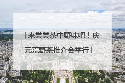 来尝尝茶中野味吧！庆元荒野茶推介会举行