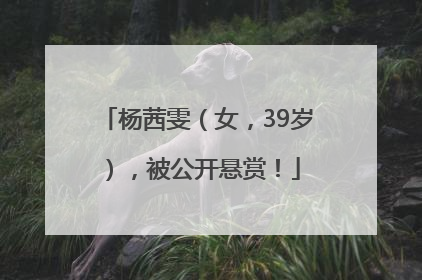 杨茜雯（女，39岁），被公开悬赏！