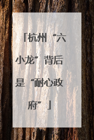 杭州“六小龙”背后是“耐心政府”