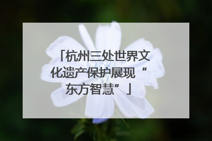 杭州三处世界文化遗产保护展现“东方智慧”