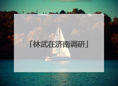 林武在济南调研
