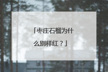 枣庄石榴为什么别样红？