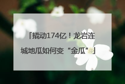 撬动174亿！龙岩连城地瓜如何变“金瓜”