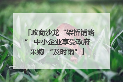 政商沙龙“架桥铺路” 中小企业享受政府采购 “及时雨”