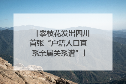 攀枝花发出四川首张“户籍人口直系亲属关系谱”