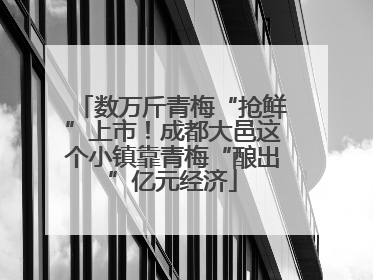 数万斤青梅“抢鲜”上市！成都大邑这个小镇靠青梅“酿出”亿元经济