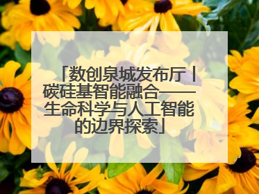数创泉城发布厅丨碳硅基智能融合——生命科学与人工智能的边界探索