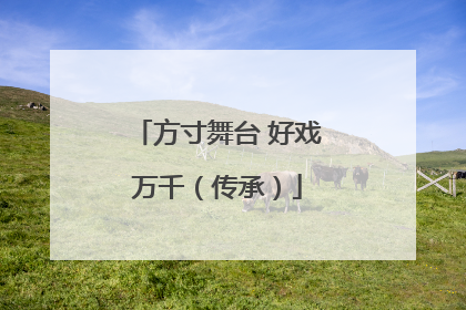 方寸舞台 好戏万千（传承）