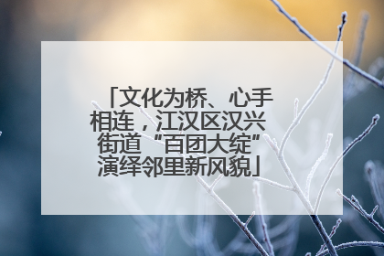 文化为桥、心手相连，江汉区汉兴街道“百团大绽”演绎邻里新风貌
