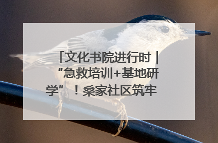 文化书院进行时｜“急救培训+基地研学”！桑家社区筑牢居民健康防线
