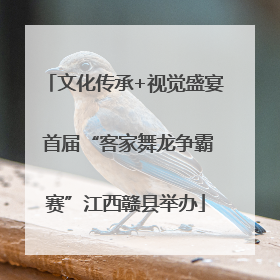 文化传承+视觉盛宴 首届“客家舞龙争霸赛”江西赣县举办