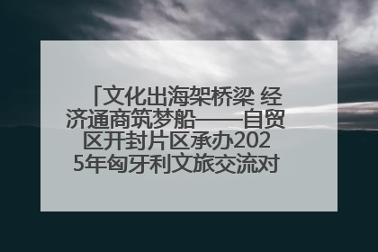 文化出海架桥梁 经济通商筑梦船——自贸区开封片区承办2025年匈牙利文旅交流对接活动专场