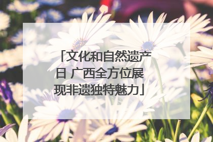 文化和自然遗产日 广西全方位展现非遗独特魅力
