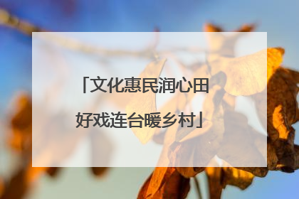 文化惠民润心田 好戏连台暖乡村