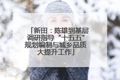 新田：陈雄到基层调研指导“十五五”规划编制与城乡品质大提升工作