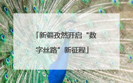 新疆孜然开启“数字丝路”新征程