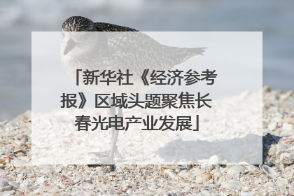 新华社《经济参考报》区域头题聚焦长春光电产业发展
