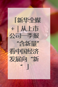 新华全媒+｜从上市公司一季报“含新量”看中国经济发展向“新”