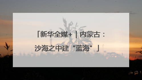 新华全媒+｜内蒙古：沙海之中建“蓝海”