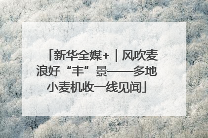 新华全媒+｜风吹麦浪好“丰”景——多地小麦机收一线见闻
