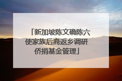 新加坡陈文确陈六使家族后裔返乡调研侨捐基金管理