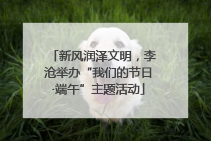 新风润泽文明，李沧举办“我们的节日·端午”主题活动