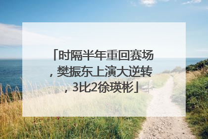 时隔半年重回赛场，樊振东上演大逆转，3比2徐瑛彬