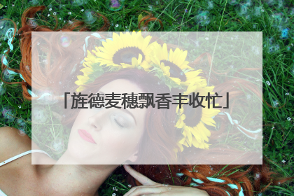 旌德麦穗飘香丰收忙