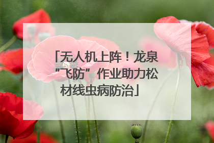 无人机上阵！龙泉“飞防”作业助力松材线虫病防治