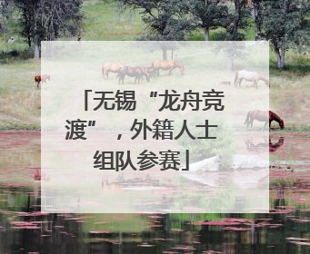 无锡“龙舟竞渡”，外籍人士组队参赛