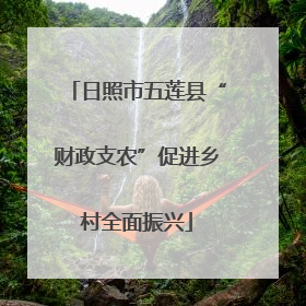 日照市五莲县“财政支农”促进乡村全面振兴