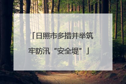 日照市多措并举筑牢防汛“安全堤”