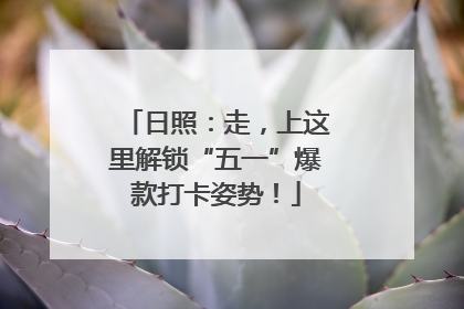 日照：走，上这里解锁“五一”爆款打卡姿势！