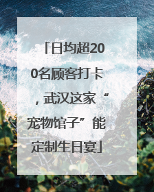 日均超200名顾客打卡，武汉这家“宠物馆子”能定制生日宴