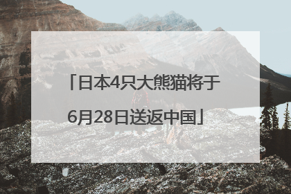 日本4只大熊猫将于6月28日送返中国