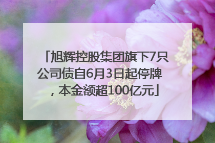 旭辉控股集团旗下7只公司债自6月3日起停牌，本金额超100亿元