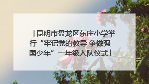 昆明市盘龙区东庄小学举行“牢记党的教导 争做强国少年”一年级入队仪式