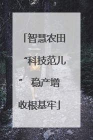 智慧农田“科技范儿” 稳产增收根基牢