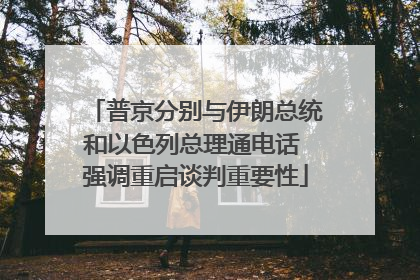 普京分别与伊朗总统和以色列总理通电话 强调重启谈判重要性
