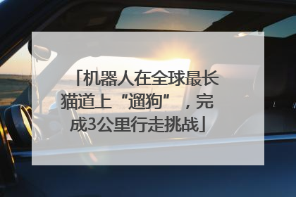 机器人在全球最长猫道上“遛狗”，完成3公里行走挑战