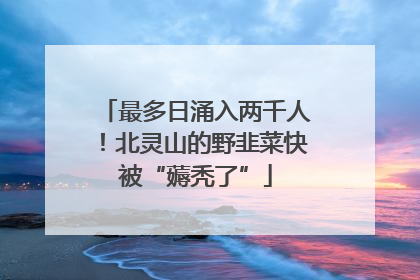 最多日涌入两千人！北灵山的野韭菜快被“薅秃了”