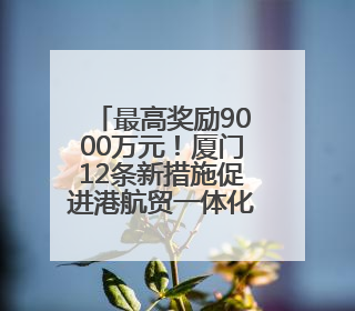 最高奖励9000万元！厦门12条新措施促进港航贸一体化发展