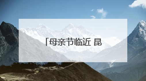 母亲节临近 昆明消费市场升温