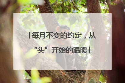 每月不变的约定，从“头”开始的温暖